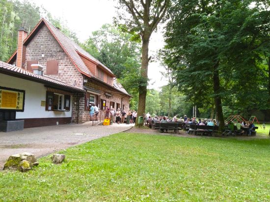 Felsenwald-Tour_Juni_2021